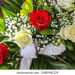 漫蛙Manwa防走失站iOS版:智能定位保护孩子安全 4qtthl