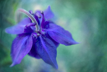 波多野寿哉弁護士：法律界的杰出代表与其成功案例分析