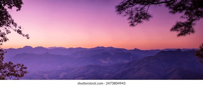 漫蛙防走失官网：守护孩子安全的智能选择