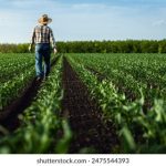 河北彩花2024年3月番号:最新作品发布与精彩内容解析 gn92y9f