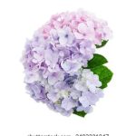 漫蛙防走失:守护孩子安全的智能防走失解决方案 gw0nj6gapq