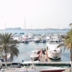 油猴中文网站:全面解析油猴脚本的使用与安装技巧 gxdu8kkth6