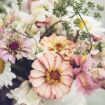 激萌导航三秒自动跳转,畅享无缝浏览体验 ltv4d