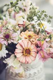 激萌导航三秒自动跳转，畅享无缝浏览体验