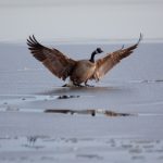 沉浸式体验:探索5D影院的魅力与科技 tth3r6rp9