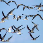 正在跳转请稍后嫩草 剧情:探索青春与成长的迷人故事与情感纠葛 um4yd2d8