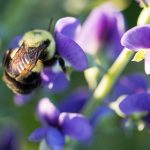 畅游无阻:可以进入任何网站的全能浏览器推荐 04t65