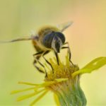 畅享麻花影视:在线播放最新热门影片指南 dgn96