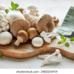 畅享高清视听盛宴:蓝光在线影院推荐与使用指南 lp274j