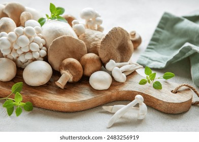 畅享高清视听盛宴：蓝光在线影院推荐与使用指南